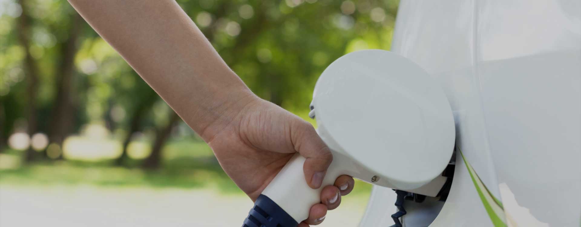 Was ist die Unterschiede zwischen Großhandel Lithium-Batterie und regulären Batterie?