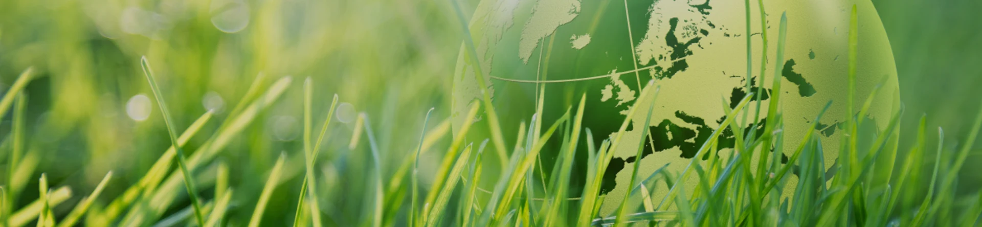 Lithium-Speicher Übergang Ihrer Energie zu nachhaltigen Lithium-Ionen-Batterien